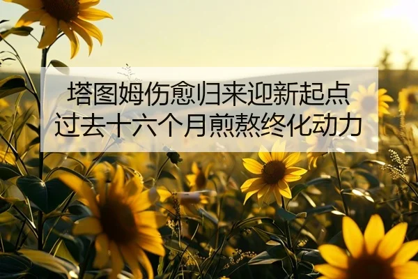 塔图姆伤愈归来迎新起点 过去十六个月煎熬终化动力（BandaoSports）